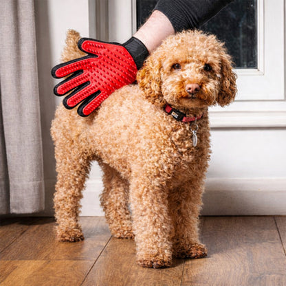 Guante Quitapelos para Mascotas de Silicona – Cepillo Deslanador y Masajeador